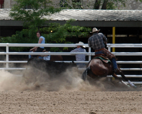 Rob & Cory Turning Cow